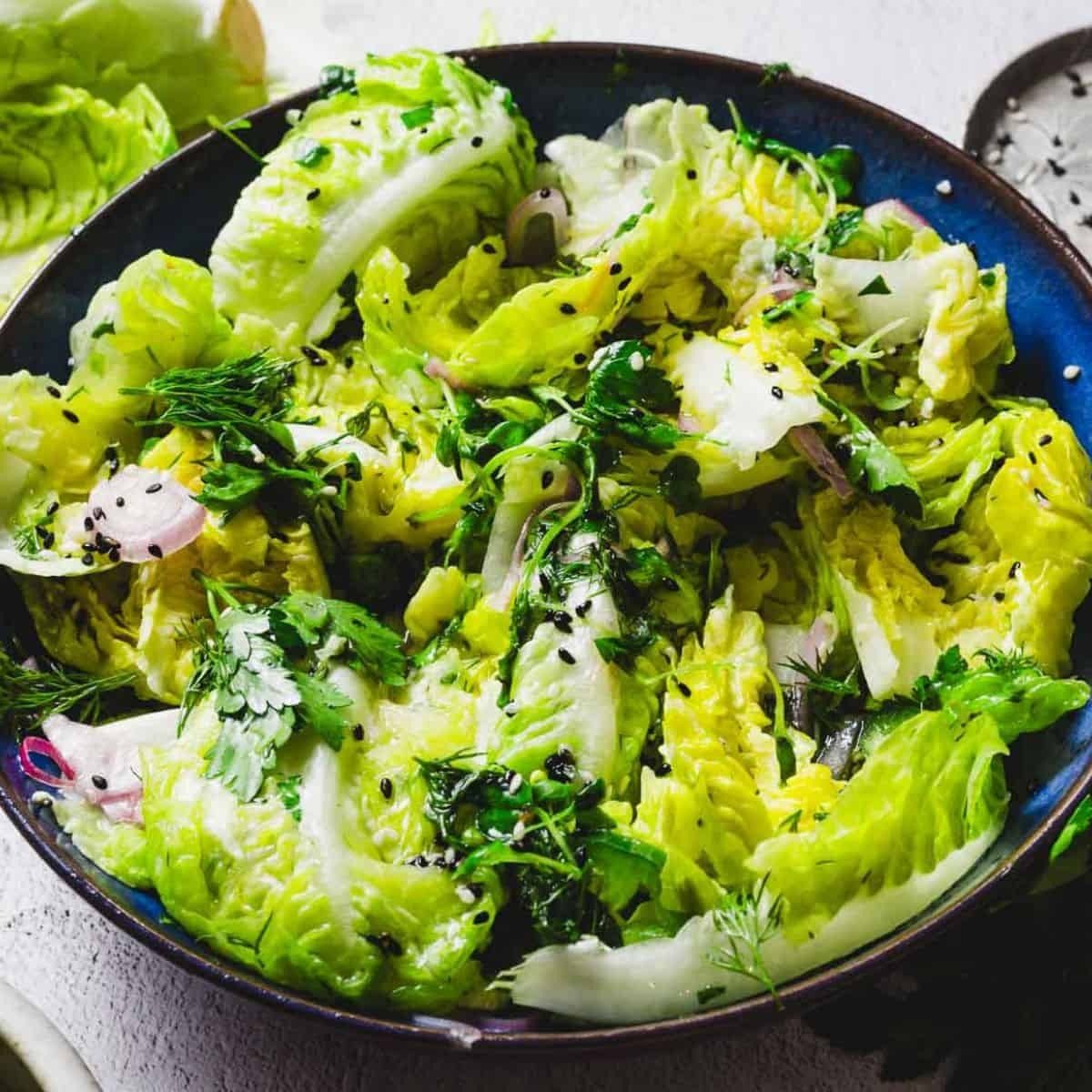 Gem Lettuce (4p).